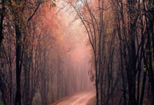 pp电子娱乐官网:21-22賽季英超聯賽第15輪比賽集錦.