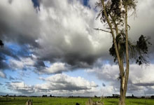 pp电子官方网站：新华视点丨零的突破！——我国首个商业航天发射场首发任务四大看点.